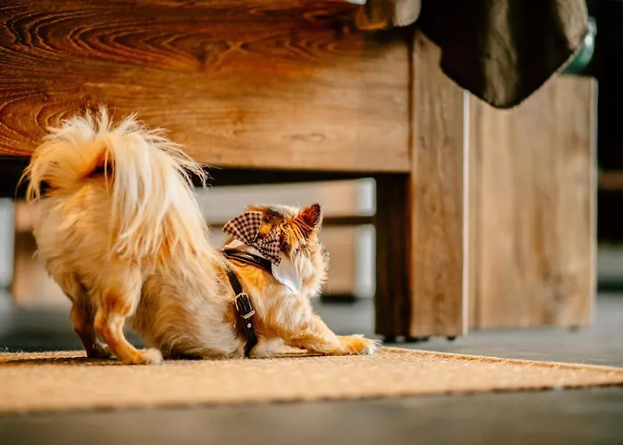 Seewirts Strandhaus Ubersee